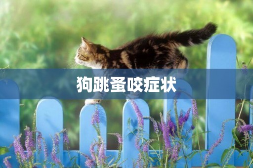 狗跳蚤咬癥狀