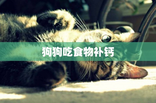 狗狗吃食物補鈣