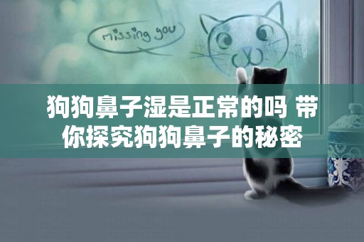 狗狗鼻子濕是正常的嗎 帶你探究狗狗鼻子的秘密