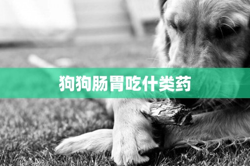 狗狗腸胃吃什類藥