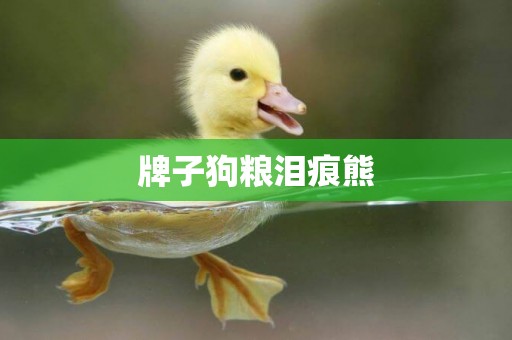 牌子狗糧淚痕熊