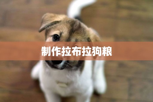 制作拉布拉狗糧
