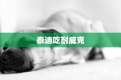 泰迪吃耐威克