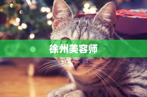 徐州美容師