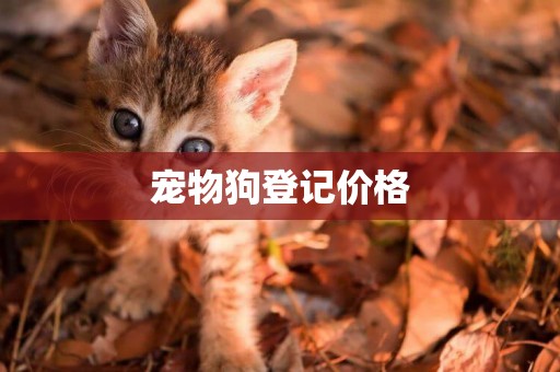寵物狗登記價格