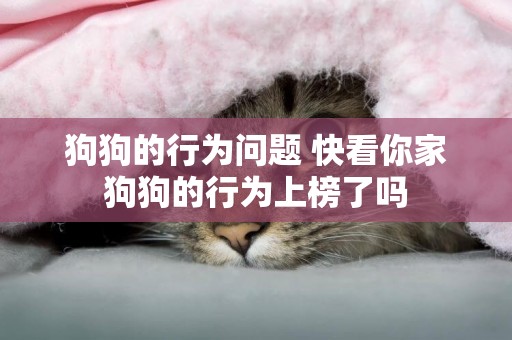 狗狗的行為問題 快看你家狗狗的行為上榜了嗎