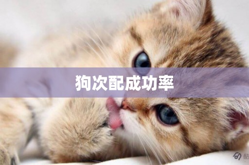 狗次配成功率