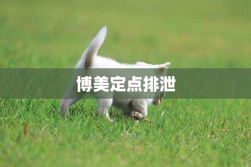 博美定點排泄