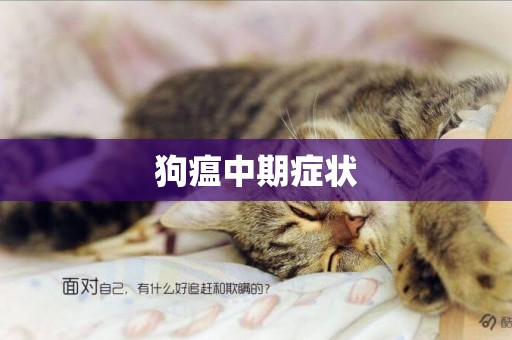 狗瘟中期癥狀