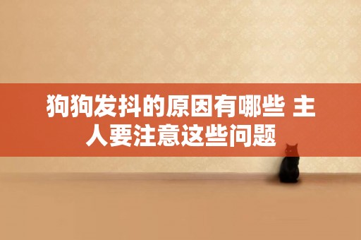 狗狗發抖的原因有哪些 主人要注意這些問題