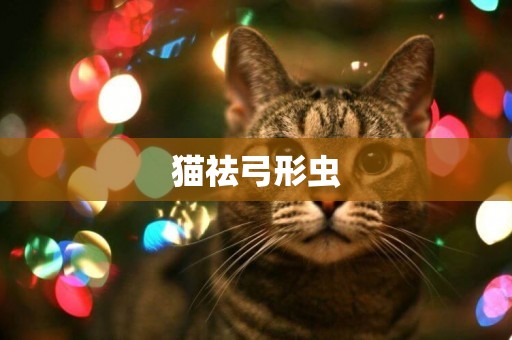 貓祛弓形蟲