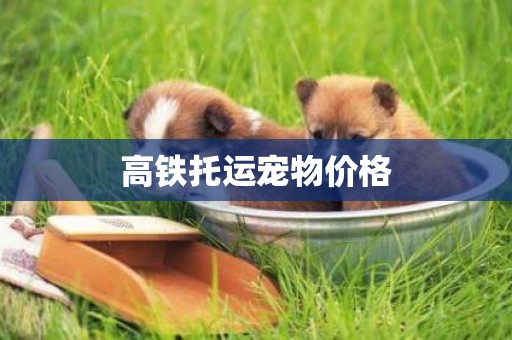高鐵托運寵物價格