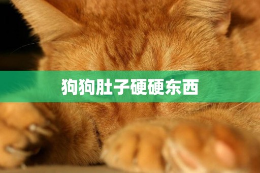 狗狗肚子硬硬東西
