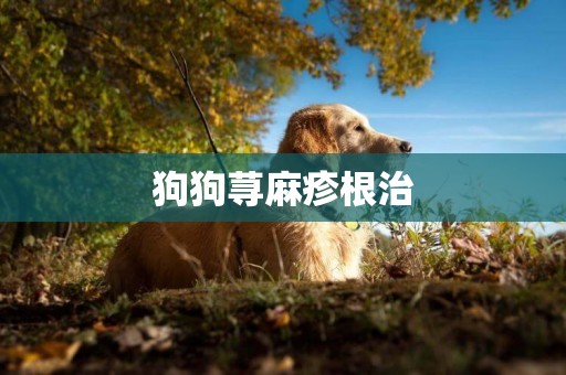 狗狗蕁麻疹根治