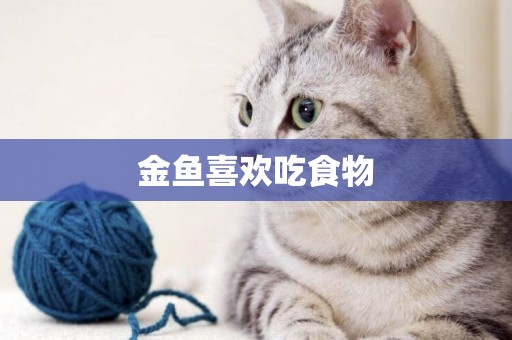 金魚喜歡吃食物