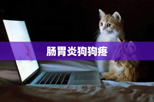 腸胃炎狗狗疼