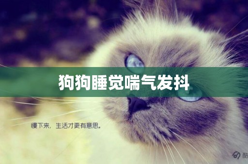 狗狗睡覺喘氣發抖