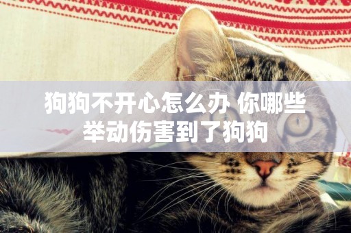 狗狗不開心怎么辦 你哪些舉動傷害到了狗狗