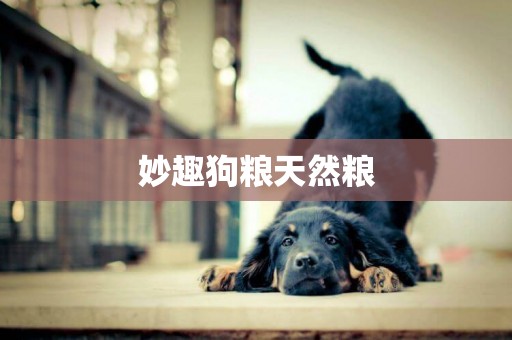 妙趣狗糧天然糧