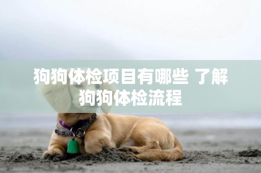 狗狗體檢項目有哪些 了解狗狗體檢流程