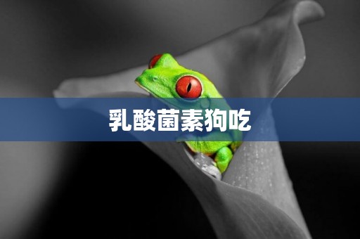 乳酸菌素狗吃
