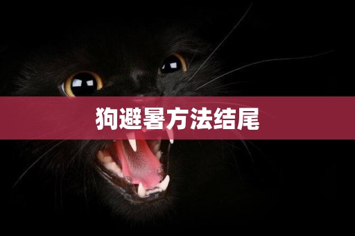 狗避暑方法結尾