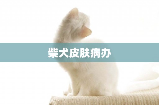 柴犬皮膚病辦