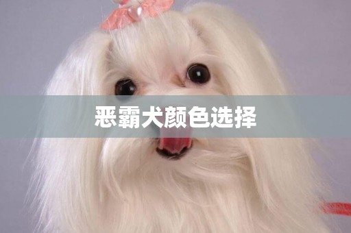 惡霸犬顏色選擇