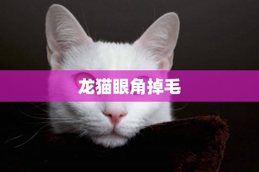 龍貓眼角掉毛