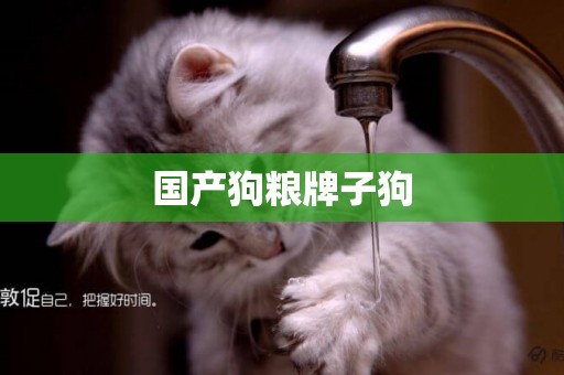 國產狗糧牌子狗