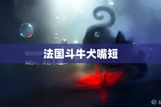 法國斗牛犬嘴短