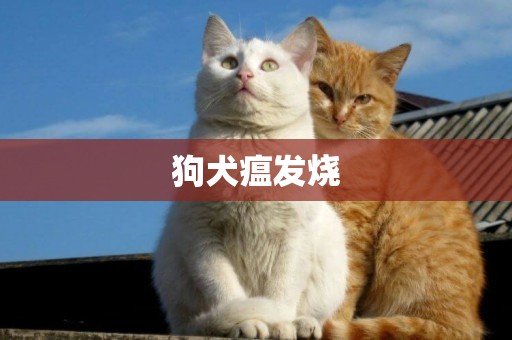 狗犬瘟發燒