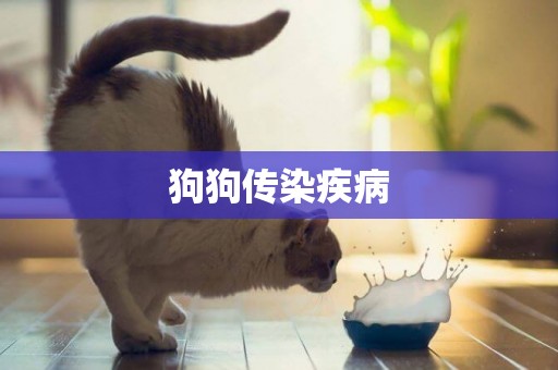 狗狗傳染疾病