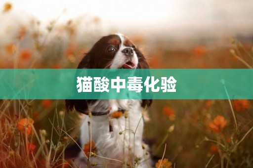 貓酸中毒化驗