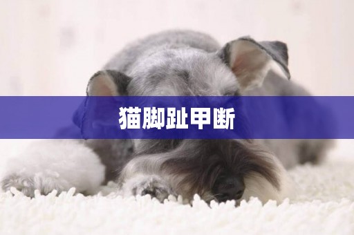 貓腳趾甲斷
