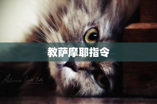 教薩摩耶指令
