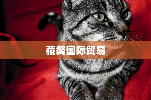 藏獒國際貿易