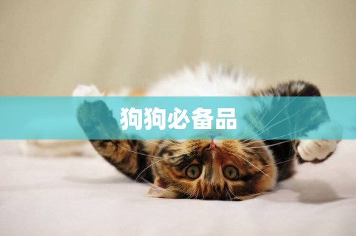 狗狗必備品