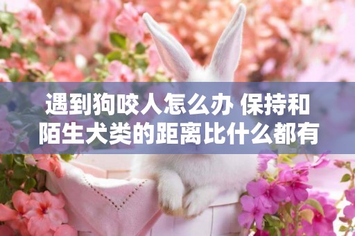 遇到狗咬人怎么辦 保持和陌生犬類的距離比什么都有用