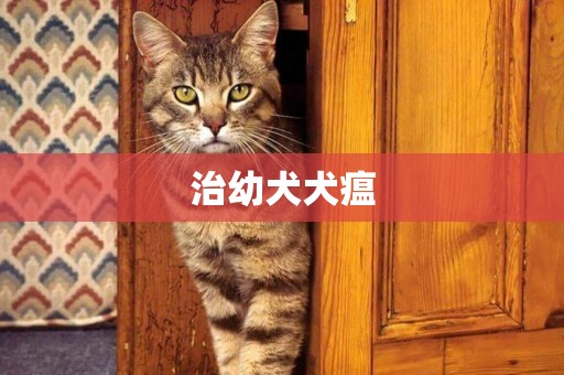 治幼犬犬瘟
