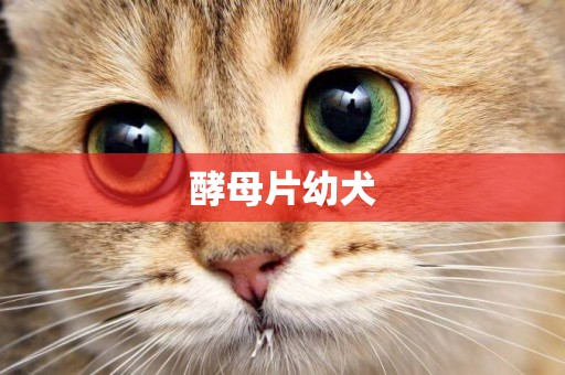 酵母片幼犬