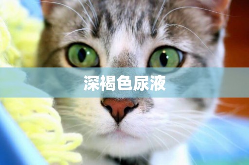 深褐色尿液