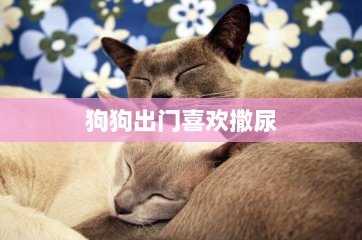 狗狗出門喜歡撒尿