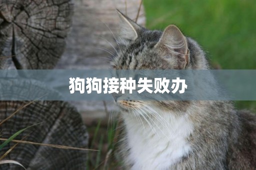 狗狗接種失敗辦