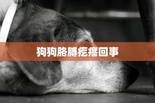 狗狗胳膊疙瘩回事