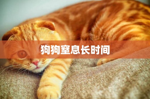 狗狗窒息長時間