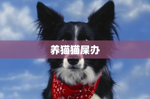 養貓貓屎辦