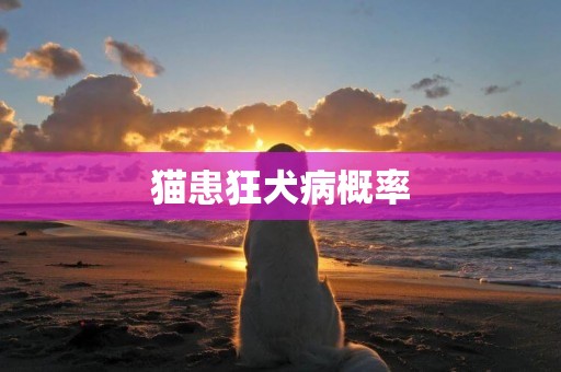 貓患狂犬病概率