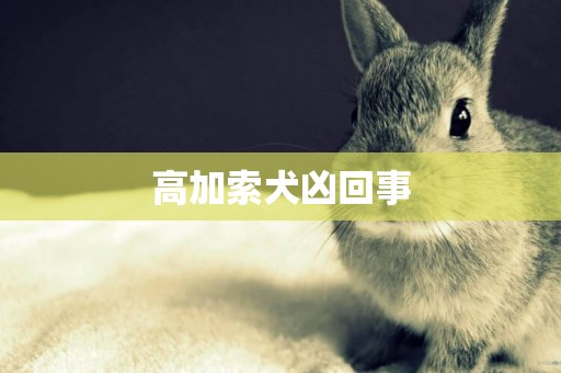 高加索犬兇回事