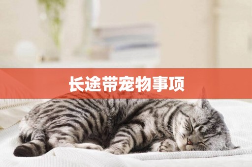 長途帶寵物事項